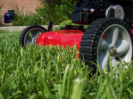 Why Professional Lawn Mowing Is Superior