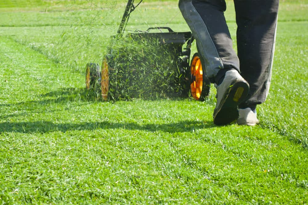 Lawn Mowing Banner Image